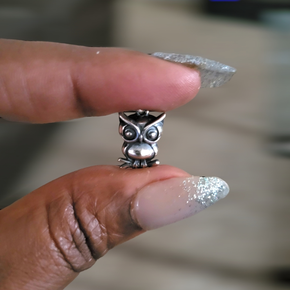 2 Sterling Silver Owl Charms